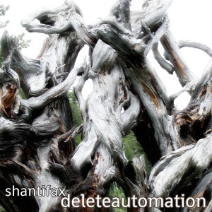 Shantifax - Delete Automation